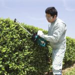 Taille-haie Makita UH6570