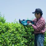 Makita UH6580 Taille-haies